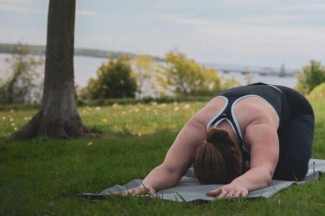 Coastal Flow A Maine Yoga Experience - Analyzing the Value