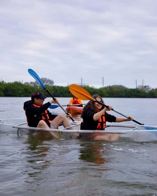 Cocoa Beach: Clear Kayak Bioluminescence Tour - Who Will Love This Tour?