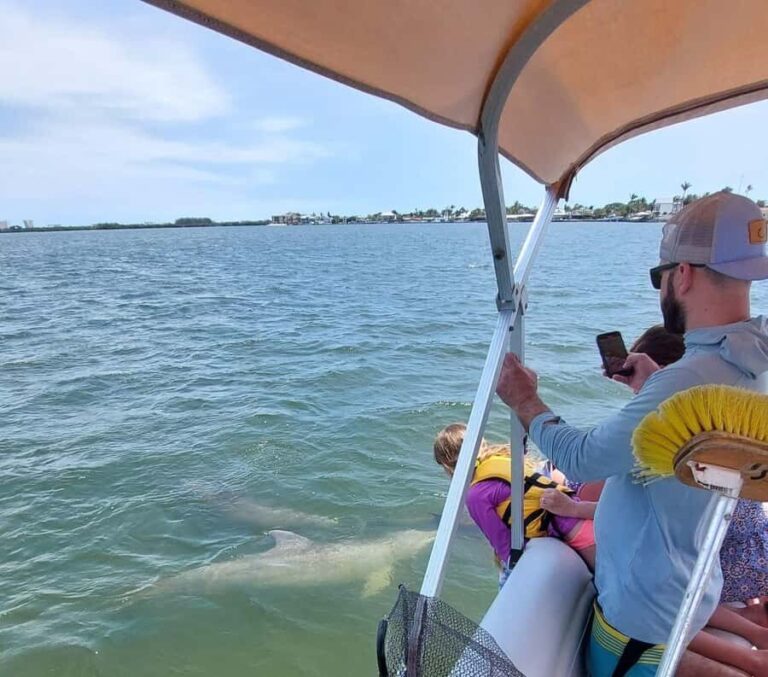 Cocoa Beach: Dolphin & Manatee Small Group Eco Boat Tour - First Impressions: An Honest Look at What to Expect