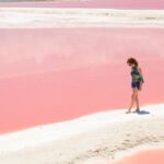 Coloradas Pink Lagoon Adventure from Playa del Carmen and Riviera Maya - Transportation and Group Size: How It Works