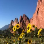 Colorado Springs: Garden of the Gods & Historic Town Tour - What Makes the Tour Stand Out?