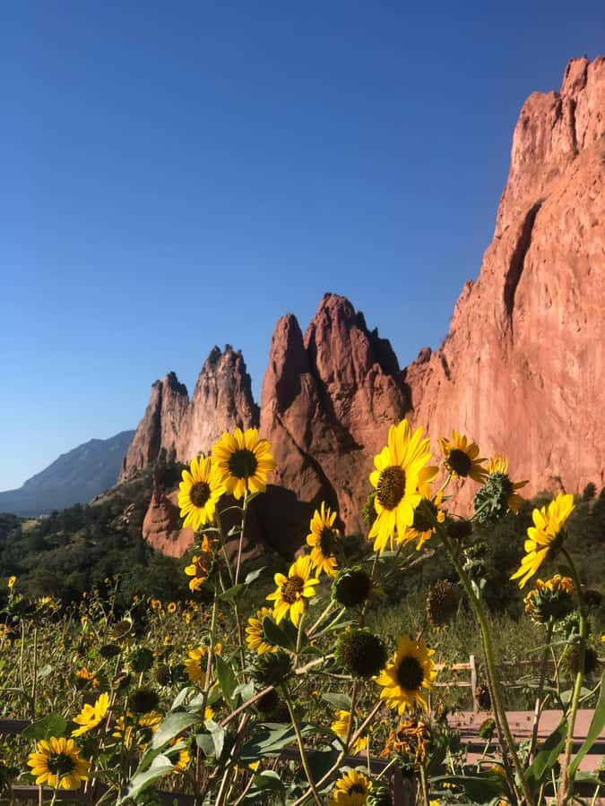 Colorado Springs: Garden of the Gods & Historic Town Tour - What Makes the Tour Stand Out?
