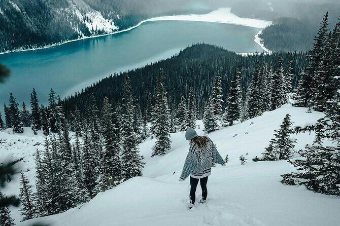 Columbia Icefield Parkway Peyto lake Bow lake Day Trip - Real Traveler Feedback