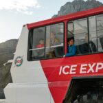 Columbia Icefield, Peyto Lake, Bow Lake from Banff - What Travelers Say: Authentic Perspectives