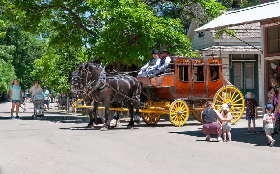 Columbia State Park: Old West Stagecoach Ride - Practical Tips for Visitors