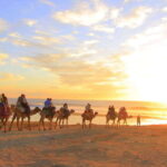 Combo 4X4 Automatic ATV & Camel Ride in Cabo by Cactus Tours - The Serene Camel Encounter