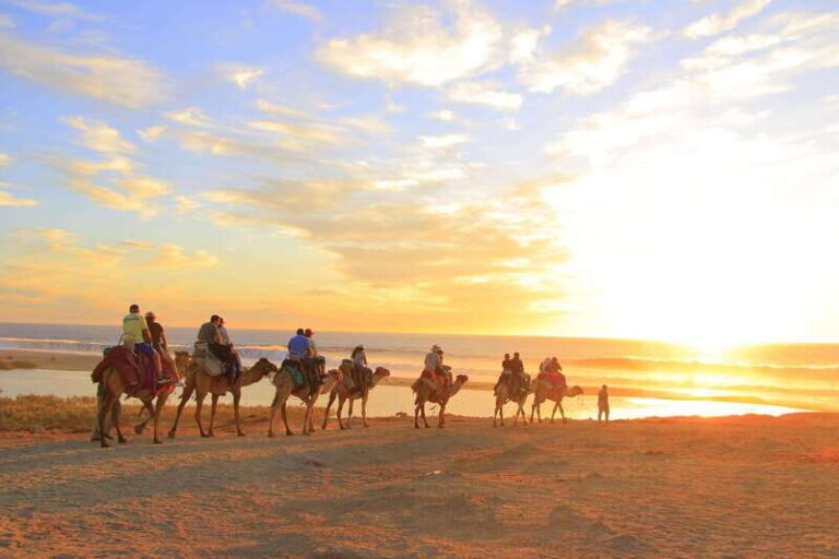 Combo 4X4 Automatic ATV & Camel Ride in Cabo by Cactus Tours - The Serene Camel Encounter