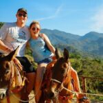 Combo ATV + Zipline R.R - Practical Details & Tips