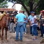 Combo Horse Back Riding and Zip Line in Vallarta - Final Thoughts
