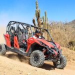 COMBO Horseback Riding & UTV Tour - Deep Dive: What You Can Expect