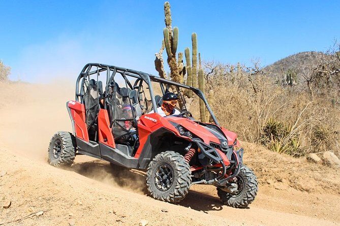 COMBO Horseback Riding & UTV Tour - Deep Dive: What You Can Expect
