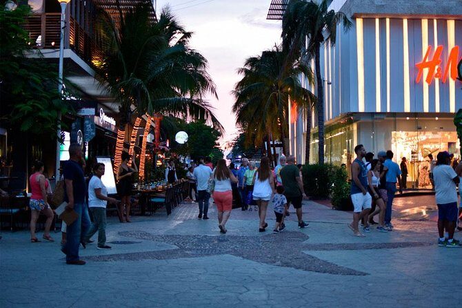 Combo Tour: Tulum, Cenote and 5th Avenue in Playa Del Carmen from Cancun - What Travelers Say