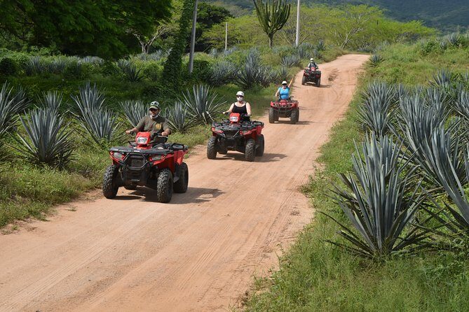 COMBO Zip lines and ATV´s at Hacienda Los Osuna - ATV Ride Through Sinaloa’s Dry Forest