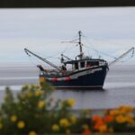 Conception Bay Tour Experience - Exploring the Itinerary