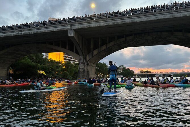 Congress Avenue Bat Bridge Paddleboard Tour - A Closer Look at the Tour Experience