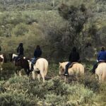 Contact us to book your time. Best Trail Rides in Arizona. - What to Expect on the Day