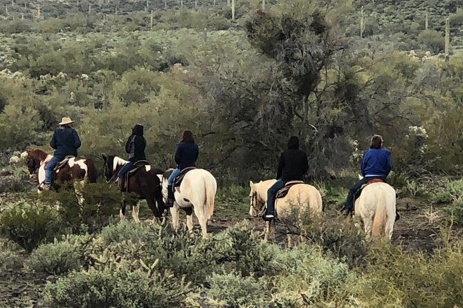 Contact us to book your time. Best Trail Rides in Arizona. - What to Expect on the Day