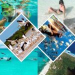 Contoy Island - A Tasty Meal with Local Flavors