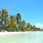Contoy Island Tour from Playa del Carmen & Cancun - FAQ