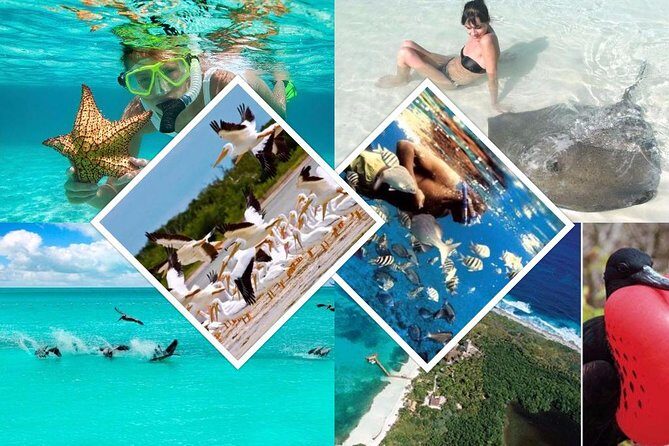 Contoy Island - A Tasty Meal with Local Flavors