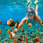 Coral Reef Snorkeling Expedition from Cancun with Beachside Lunch - Who Should Book This Tour?