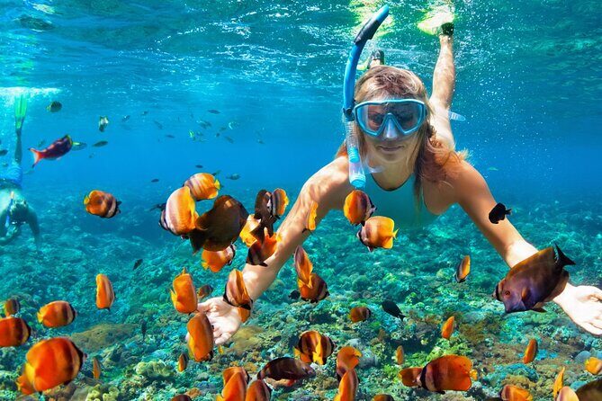 Coral Reef Snorkeling Expedition from Cancun with Beachside Lunch - Who Should Book This Tour?