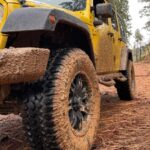 Cordoba: Guided Jeep Tour in Stanislaus National Forest - Evaluating the Cost and Value