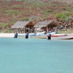 Coronado Island and Snorkel Tour - What It Means for You