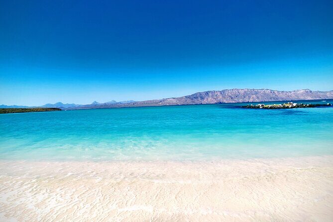 Coronado Island Visit and Sea Lions Swimming - Who Will Love This Tour?