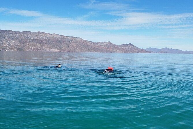 Coronados Island Tour in Loreto Bay - Practical Tips for Your Tour Day