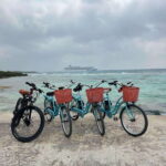 COSTA MAYA E.BIKES RENTAL - The Practicalities: What You Need to Know