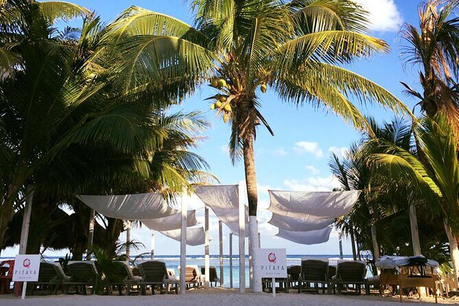 Costa Maya - Pitaya Beach Open Bar, Snorkeling, Massage and Lunch - Authentic Experiences and Guest Feedback