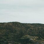 Costal Lights A Newfoundland Photography Adventure - Who Would Love This Tour?