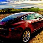 Cowichan Valley Premium Wine Tour - Exploring the Cowichan Valley – A Scenic and Tasting Adventure