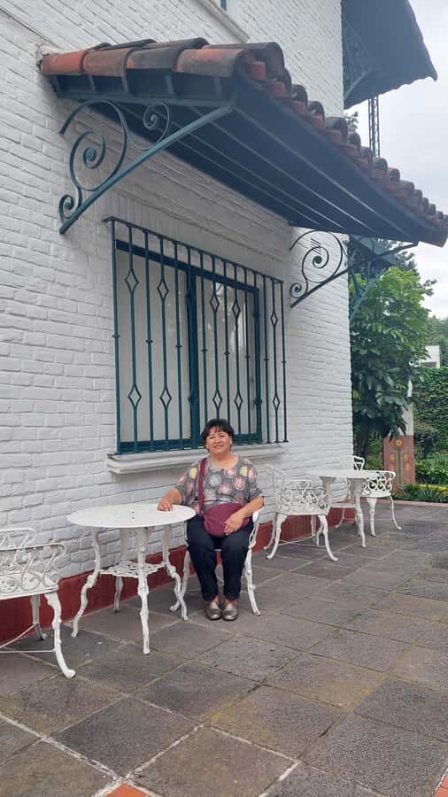 Coyoacán: A Tour of Coyoacán's Cinema, Arts, and Culture - What’s Included and What to Expect