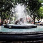 Coyoacan Bohemian Food and History Walk - What the Tour Includes and Why It Matters