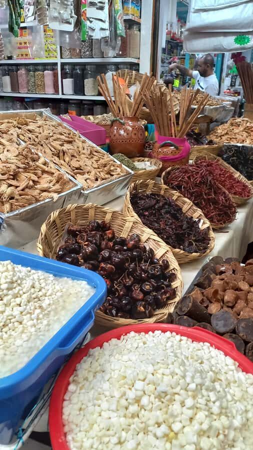 Coyoacán: History and Life of a Magical Neighborhood - Who Should Take This Tour?