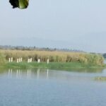 Coyuca Lagoon Adventure - What’s Included and Practical Details