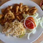 Coyuca Lagoon Countryside Baby Turtle Release Lunch & Boat Ride - Who Will Love This Tour?