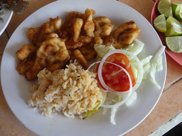 Coyuca Lagoon Countryside Baby Turtle Release Lunch & Boat Ride - Who Will Love This Tour?