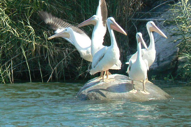 Coyuca Lagoon From Acapulco - Breaking Down the Itinerary