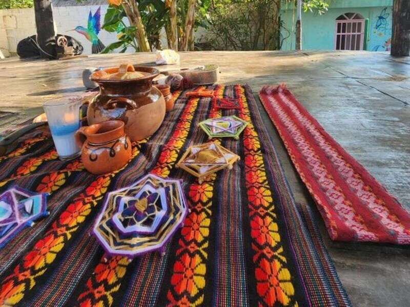 Cozumel: 10 Day 200-Hour Yoga Teacher Training - Daily Routine: From Dawn to Dusk