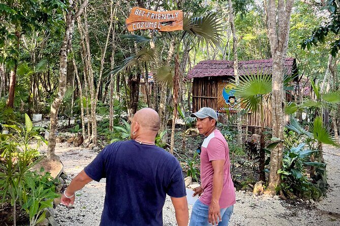 Cozumel: Bee Farm + Honey & Chocolate Tasting + Sightseeing - Breaking Down the Itinerary