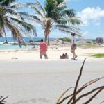 Cozumel Best Spots (Beach-Mayan Park-Downtown) - What’s Included and What’s Not