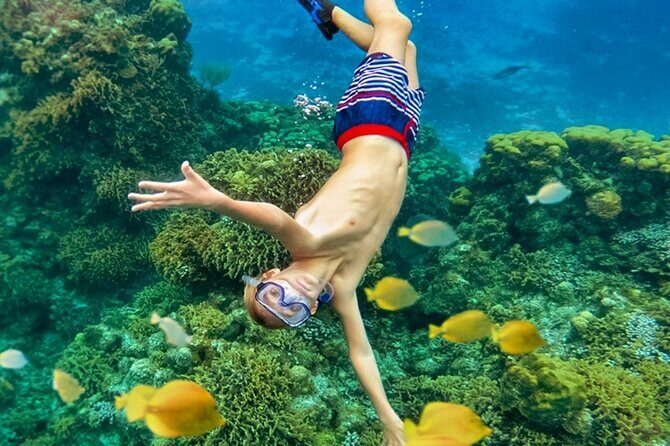 Cozumel Catamaran Experience with Snorkeling & Beach Club - FAQs