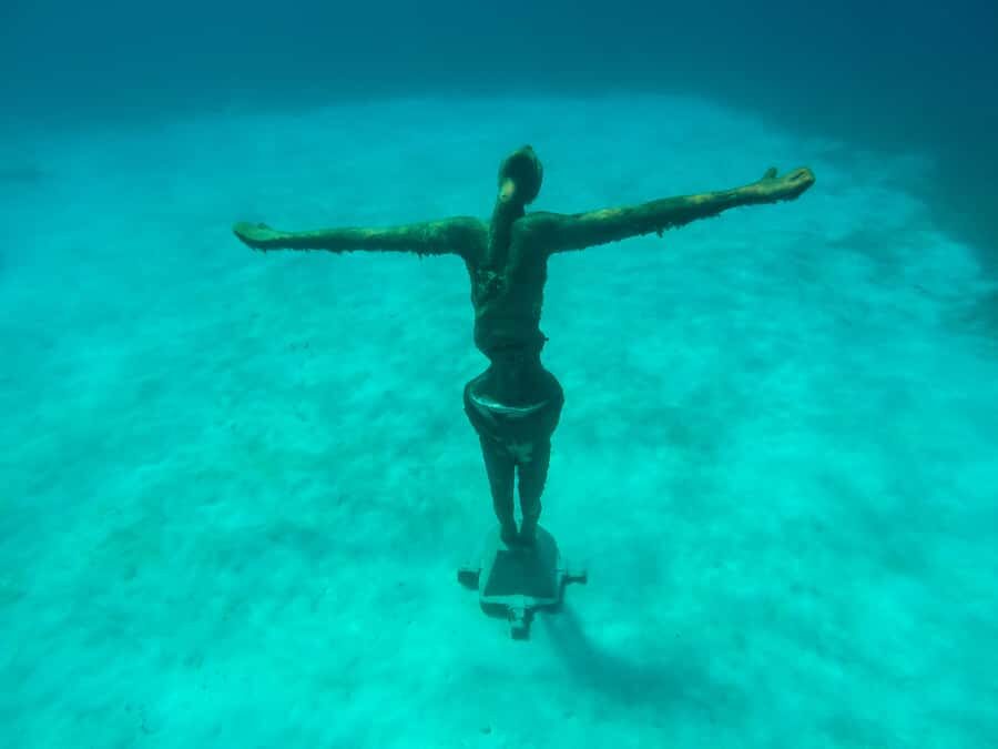 Cozumel: Chankanaab Park Admission+ Snorkel+ Welcome drink - How the Experience Unfolds