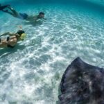 Cozumel Cielo Snorkel Adventure from Cancun and Rivera Maya - A Deep Dive into the Itinerary