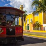 Cozumel City Tour By Trolley - Breaking Down the Pros and Cons