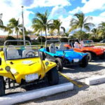 Cozumel: Classic Jeep or Buggy Island Tour to Punta Sur - Exploring Punta Sur: Natural Wonders and Stunning Views