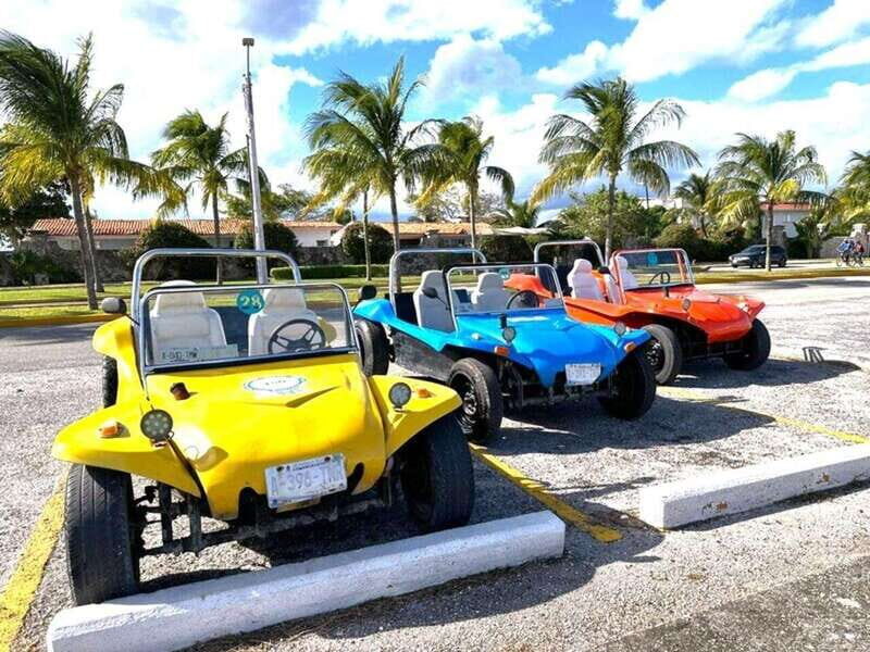Cozumel: Classic Jeep or Buggy Island Tour to Punta Sur - Exploring Punta Sur: Natural Wonders and Stunning Views